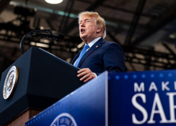 Trump Wades Into N.Y. Governor’s Race by Attacking Hochul on Crime