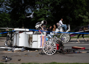 Stray Voltage Played Role in Deadly Horse Carriage Runaway, Family Says