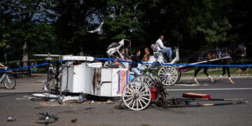 Stray Voltage Played Role in Deadly Horse Carriage Runaway, Family Says
