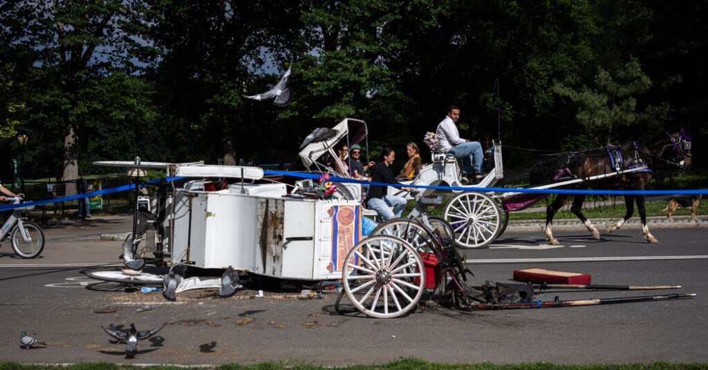 Stray Voltage Played Role in Deadly Horse Carriage Runaway, Family Says