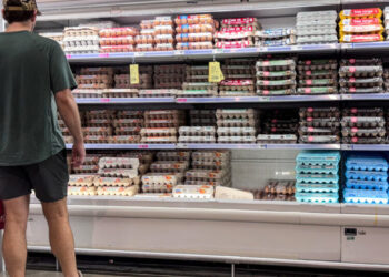 F.D.A. Classifies Egg Recall as Class I, for Highest Health Risk