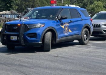 6 Dead, Including Gunman, in Series of Shootings in Michigan, Police Say