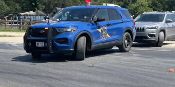 6 Dead, Including Gunman, in Series of Shootings in Michigan, Police Say