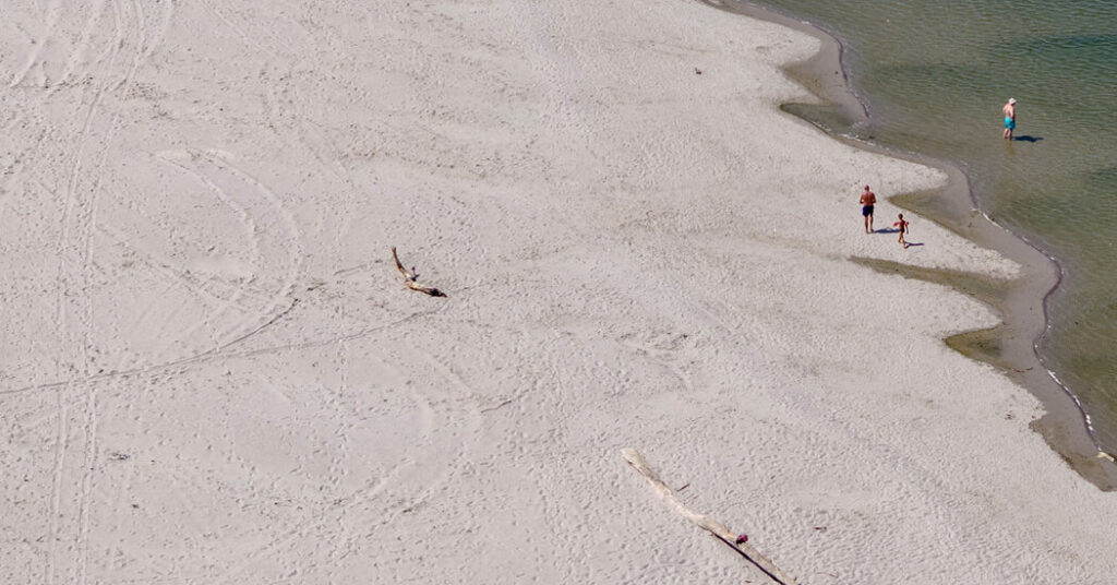 Europe’s Great Rivers Are Dying. The Continent Is In for a Shock.