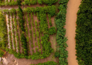 Hurricane Lala Threatens Hawaii Farms Still Recovering From March Floods