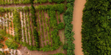 Hurricane Lala Threatens Hawaii Farms Still Recovering From March Floods