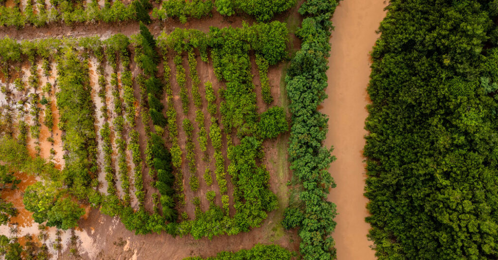 Hurricane Lala Threatens Hawaii Farms Still Recovering From March Floods