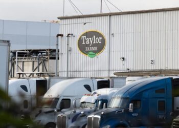 The Diarrhea Lettuce Company Has Been Linked to Forced Labor