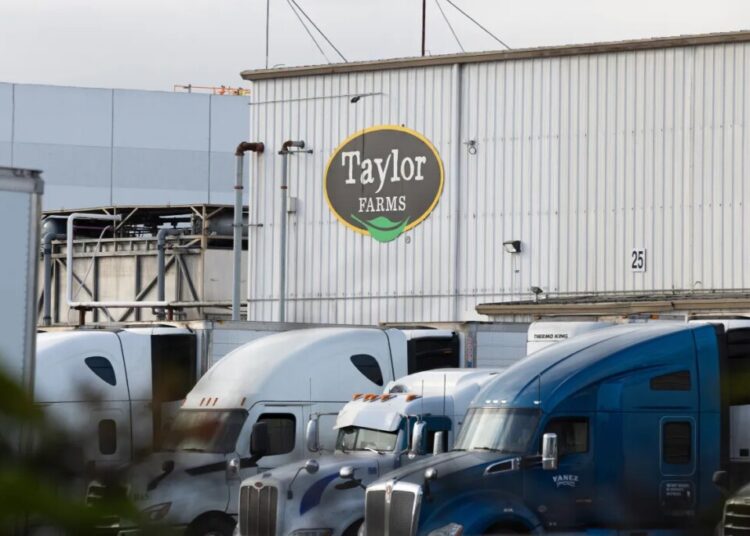 The Diarrhea Lettuce Company Has Been Linked to Forced Labor