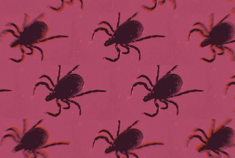 Kill the Ticks