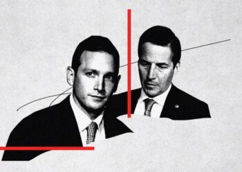 Domestic-Abuse Allegations in the Age of Trump
