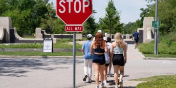 The simple idea that helped prevent millions of traffic deaths