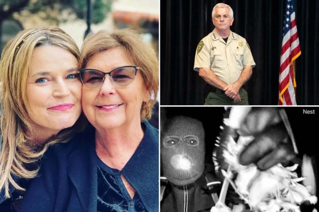 Nancy Guthrie investigation failures are ‘shocking and disturbing’ — FBI must take control to catch killer: sources 