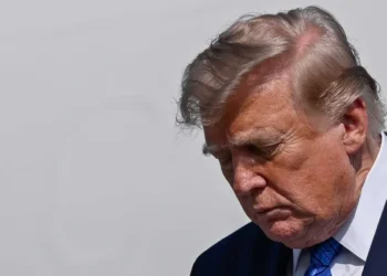‘Big uh-oh’: Data guru dumbfounded as massive bloc of Republicans turn backs on Trump