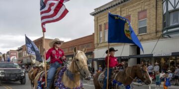 The Democrats’ Riskiest Midterm Play