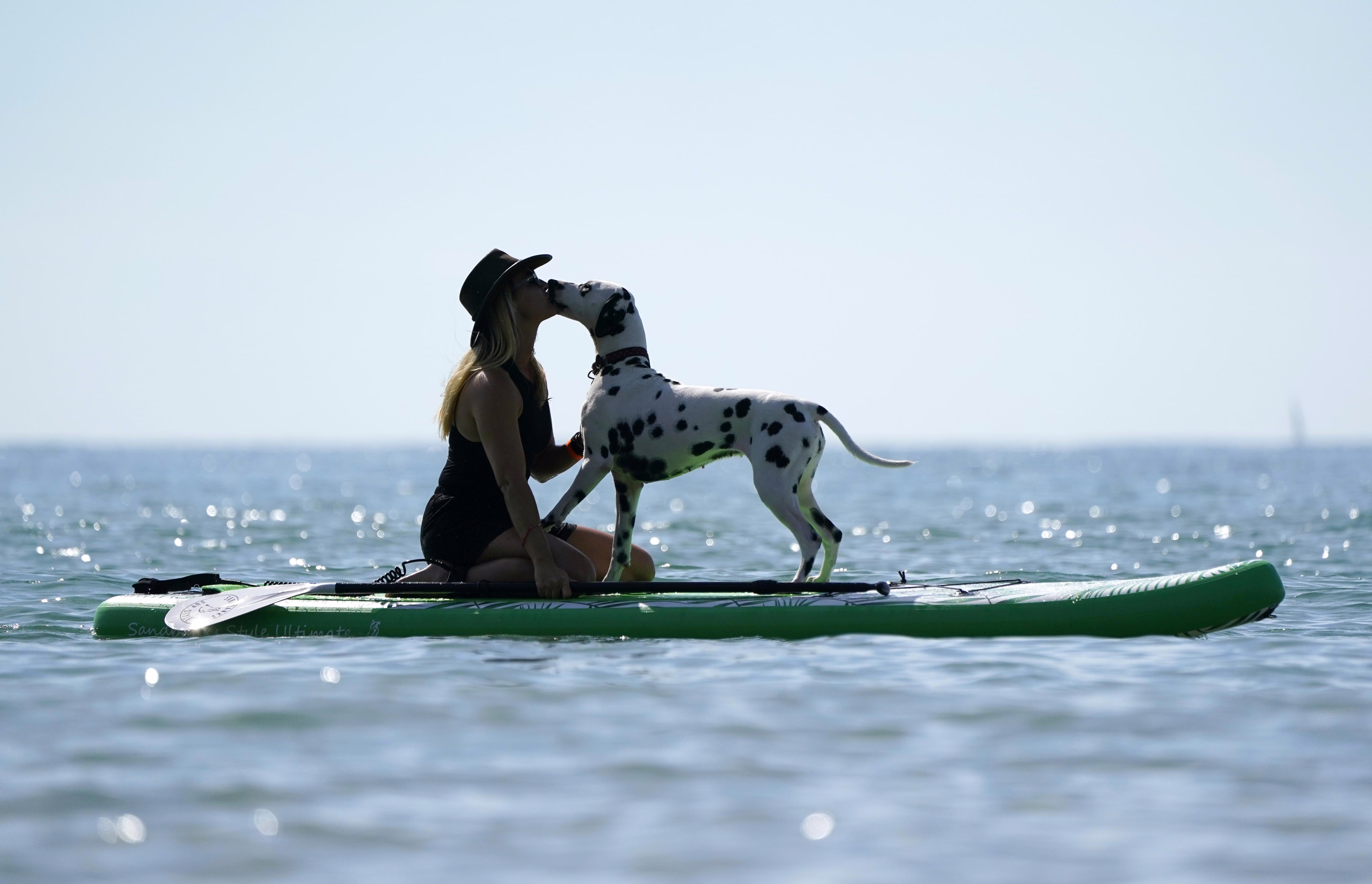 A person and their dog share a kiss on a surfboard on calm water.
