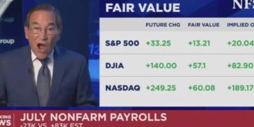 ‘Another whopper!’ Conservative CNBC host loses his mind over new Trump job losses