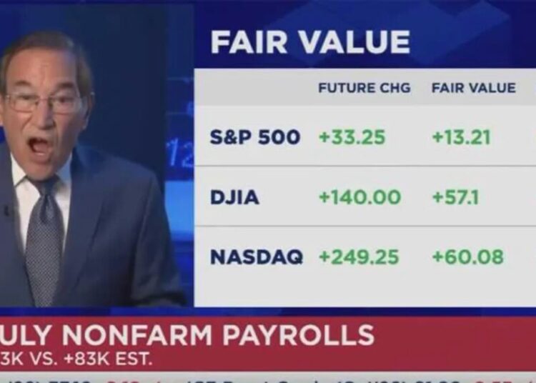 ‘Another whopper!’ Conservative CNBC host loses his mind over new Trump job losses