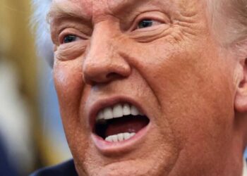Trump raves as court denies him ‘utterly lawless’ ballroom: ‘Vital for national security!’