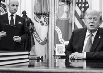 Trump Takes a Bulldozer to Birthright Citizenship Again