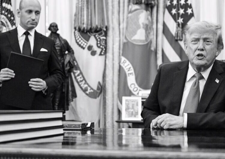 Trump Takes a Bulldozer to Birthright Citizenship Again