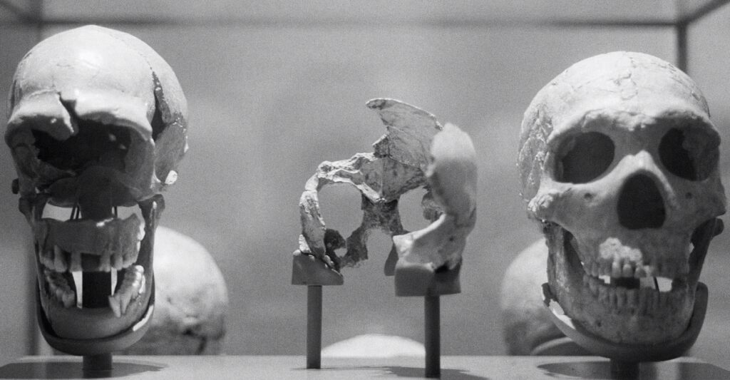 The Human-Origin Story Is Being Radically Revised