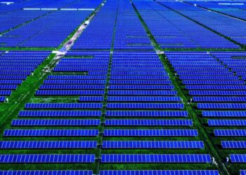 Texas Avoids Blackout by the Grace of Solar Power