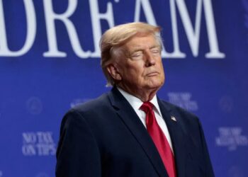 Dems hatch unorthodox plan to finally ‘hold Trump accountable’: report