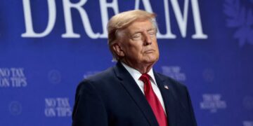 Dems hatch unorthodox plan to finally ‘hold Trump accountable’: report