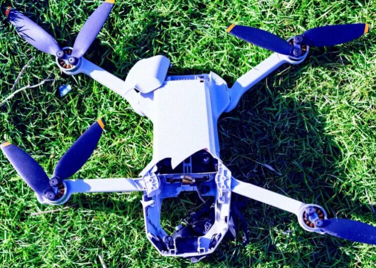 Volunteers Tracking Lost Dog Baffled When Locals Trash Thermal Imaging Drone