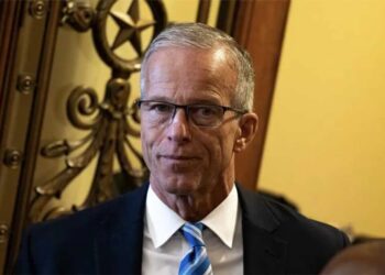 GOP lawmaker undercuts Thune scheme to get Trump off their backs