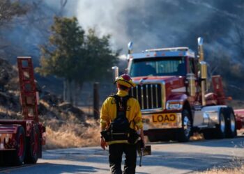 Global wildfire surge hits U.S., propelled by rising temperatures