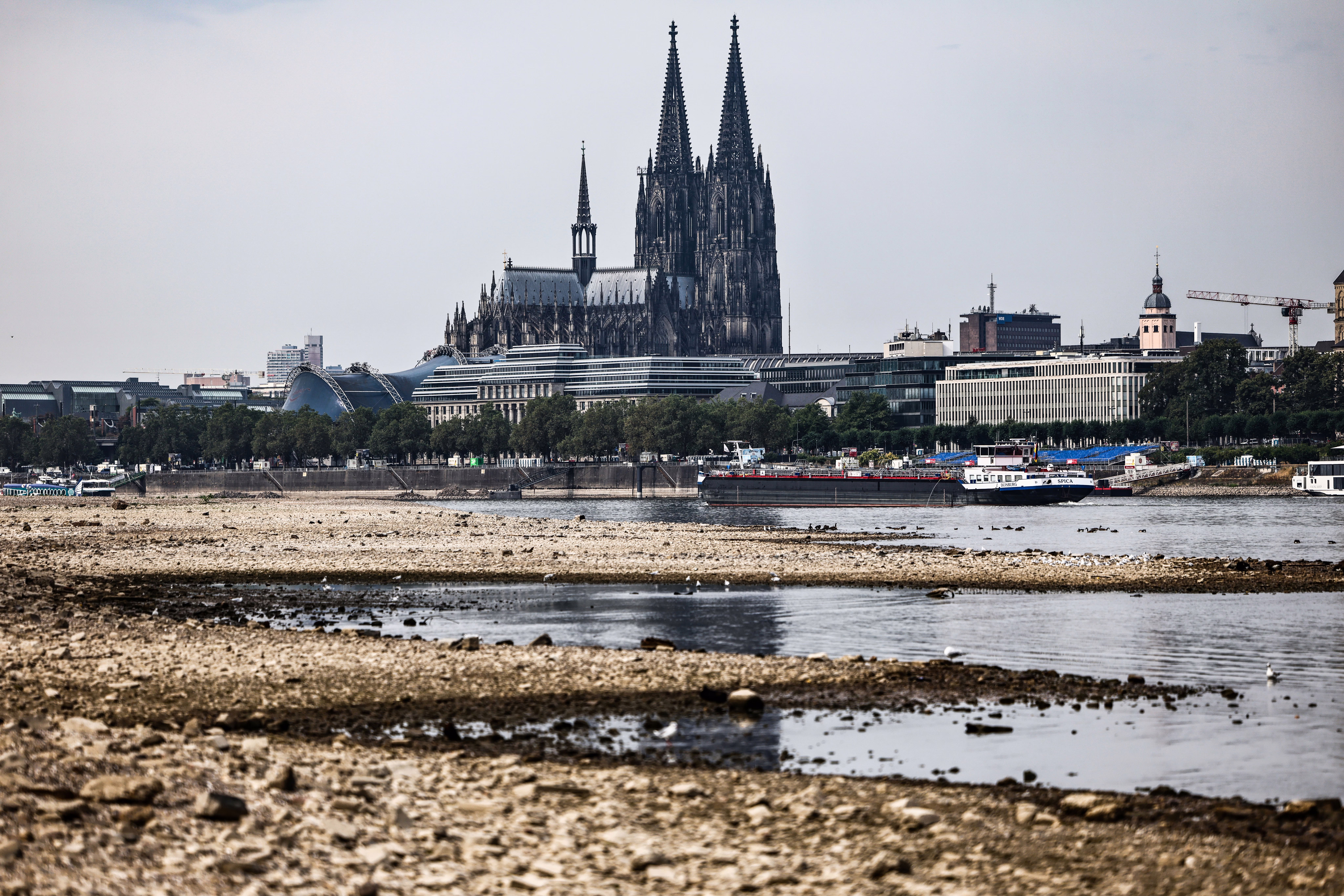 A view of the Cologne Cathedral, seen from a dry riverbed nearby