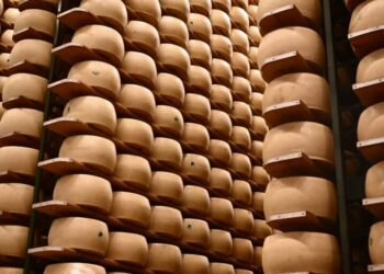 Italy’s $4.7 billion cheese economy is feeling the heat as climate change threatens its cheese banks that hold Parmigiano wheels as loan collateral