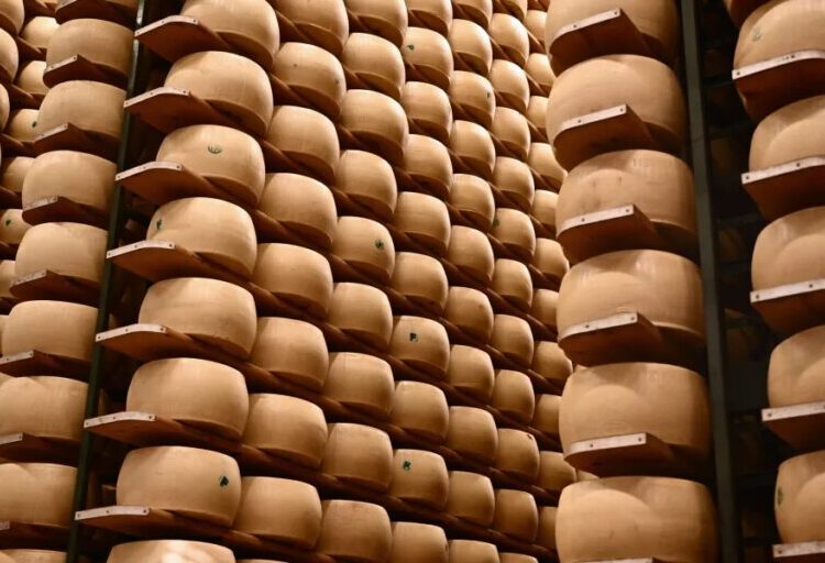 Italy’s $4.7 billion cheese economy is feeling the heat as climate change threatens its cheese banks that hold Parmigiano wheels as loan collateral