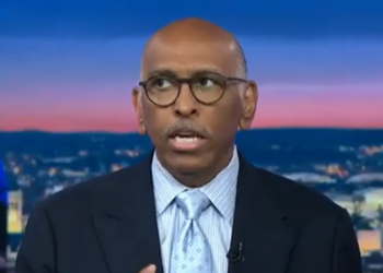 Michael Steele tears apart ‘simplistic stupidity’ of MAGA’s new election scheme