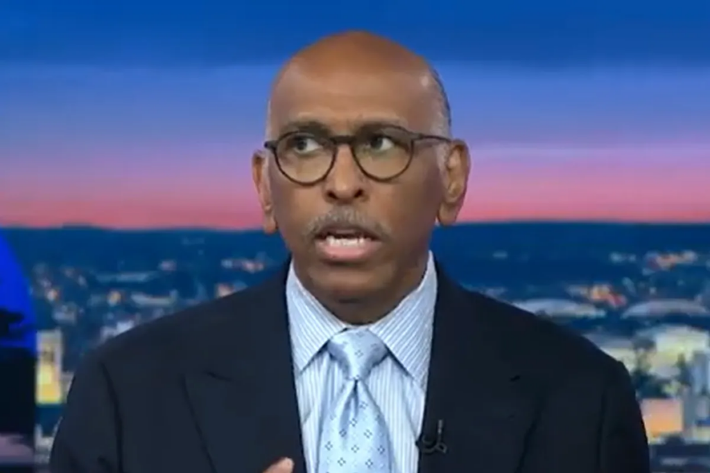 Michael Steele tears apart ‘simplistic stupidity’ of MAGA’s new election scheme