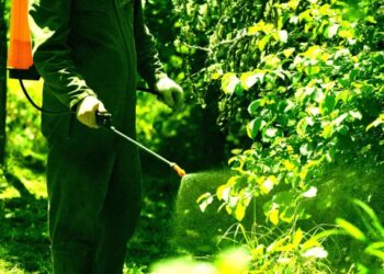 Farmer Horrified as AI Gives Bad Advice That Kills 25 Acres of Crops
