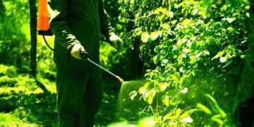 Farmer Horrified as AI Gives Bad Advice That Kills 25 Acres of Crops
