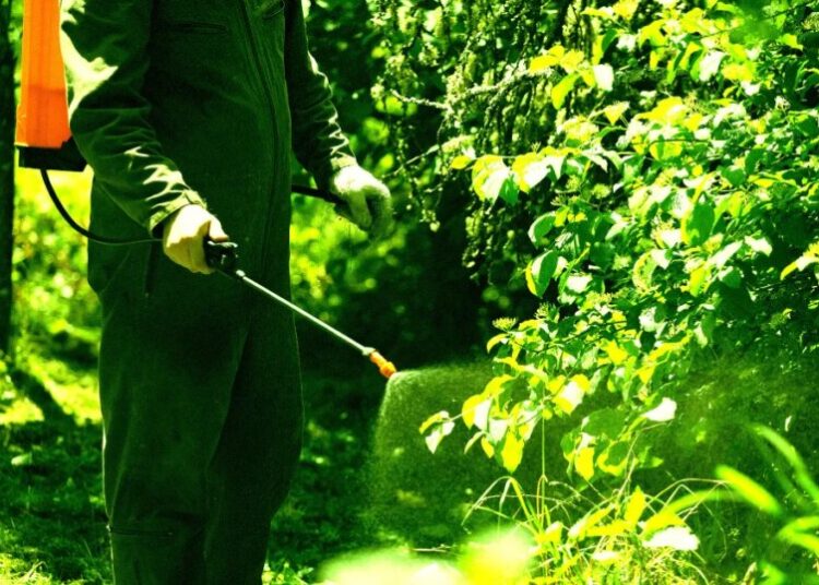 Farmer Horrified as AI Gives Bad Advice That Kills 25 Acres of Crops
