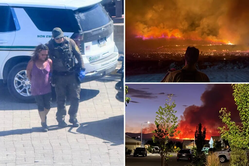 Cops arrest firebug accused of starting Fred Mountain Fire that merged into Bug Fire on California-Nevada border