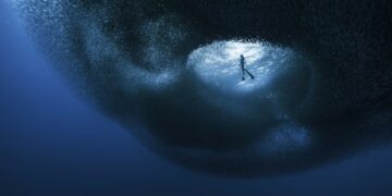 Ocean Photographer of the Year 2026 Finalists