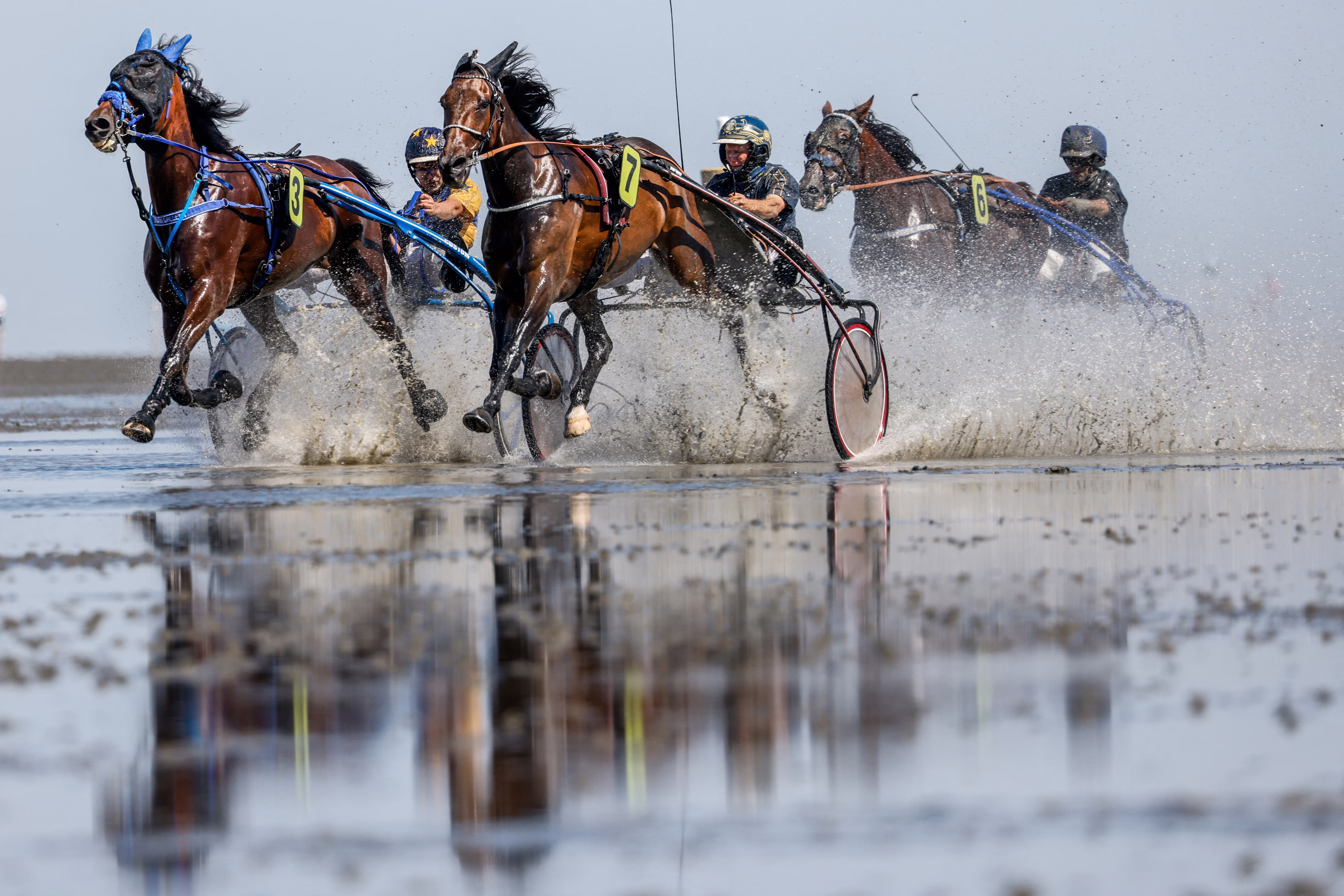 Race horses run across a wet mudflat, pulling jockeys on small two-wheeled carts.