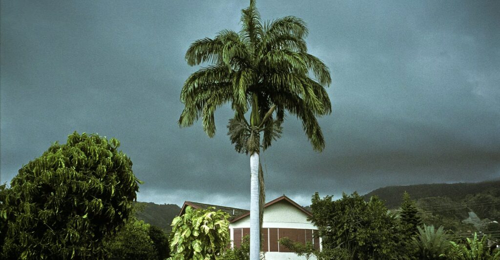 A Bleak, Violent Novel’s Unexpected Delights