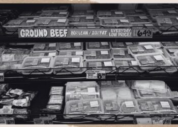 You Are What You Eat: Beef, Boy Kibble, and the Search for Manhood