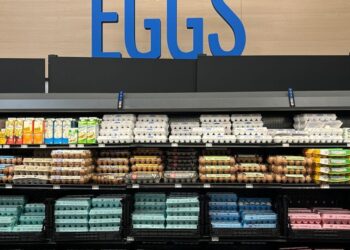 Salmonella Egg Recall Is Now Class I, the FDA’s Highest Risk Level