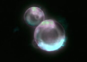 Scientists creating ‘artifical life’ in their labs promise world-changing benefits — but are they playing God?
