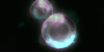Scientists creating ‘artifical life’ in their labs promise world-changing benefits — but are they playing God?