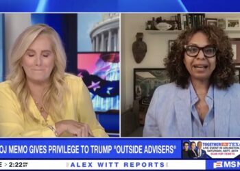 CNN anchor breaks down laughing at Todd Blanche: ‘I want to set my hair on fire!’
