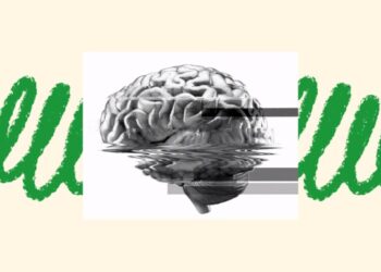 Why Learn Something That a Machine Can Do for You?